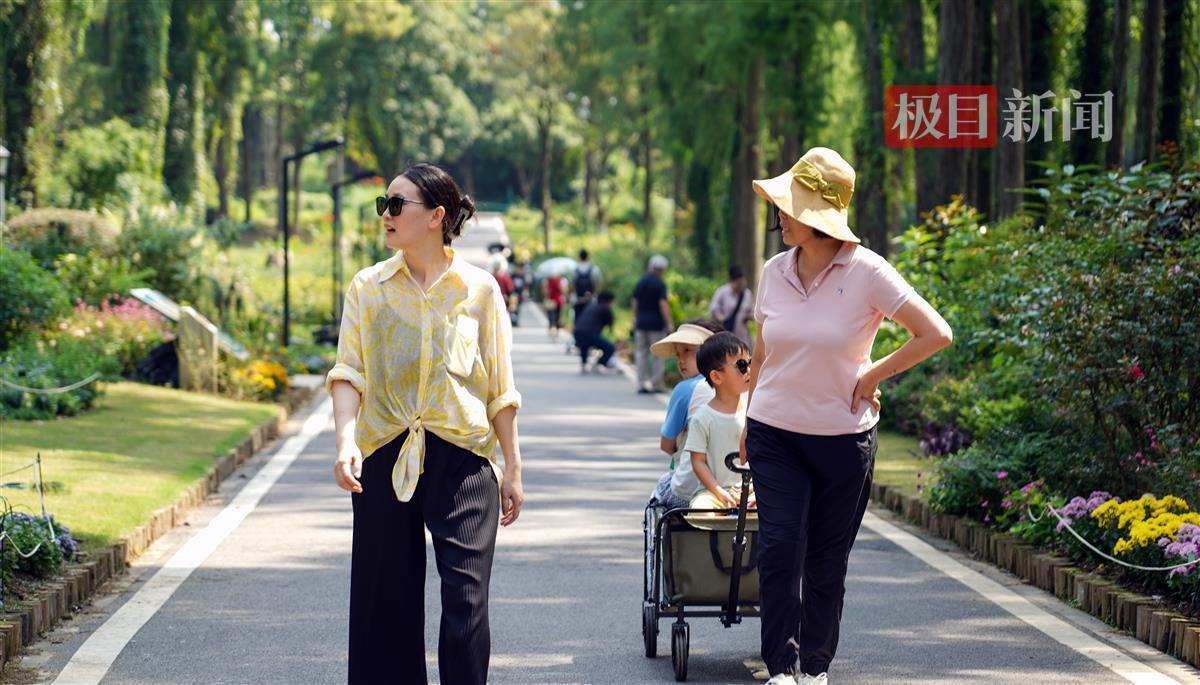 九洲在线